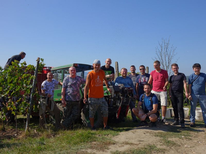 Teambuilding ve vinařství